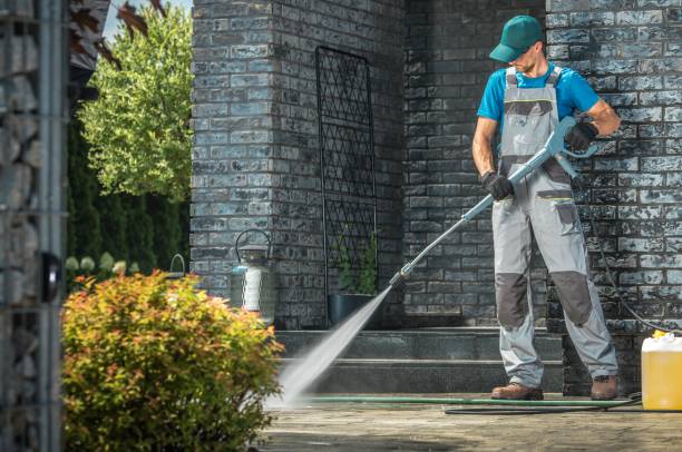 Best Graffiti Removal  in Alpine, CA